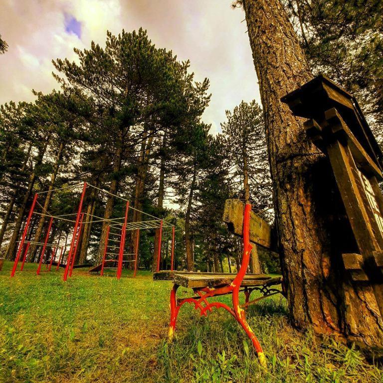 הוילה זלאטיבור Brvnare Park Borova מראה חיצוני תמונה
