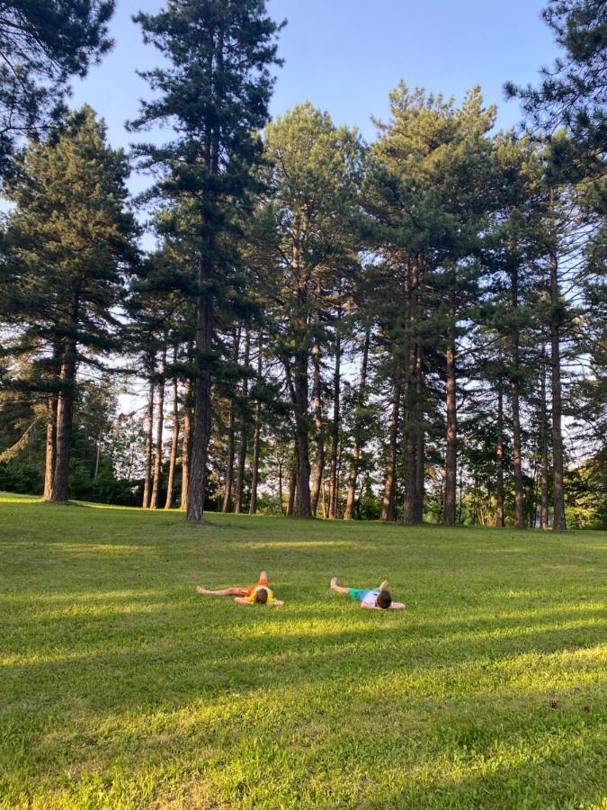 הוילה זלאטיבור Brvnare Park Borova מראה חיצוני תמונה